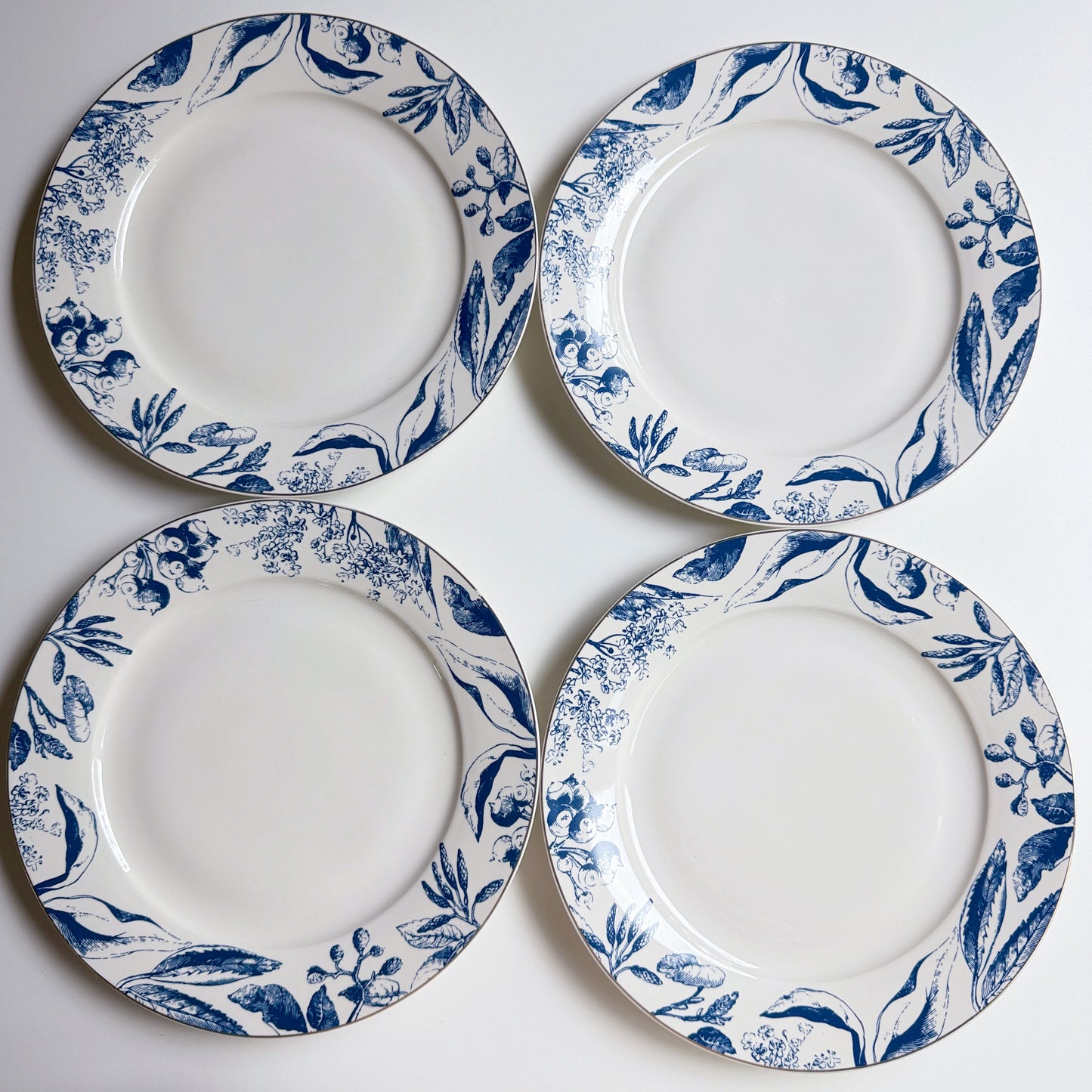 Tuscany Gilded Porcelain Dinner Plates, Set of 4