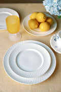 Al Fresco Porcelain Dinner Plates, Set of 4
