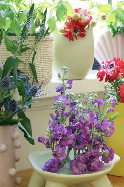 Ceramic Mini Basket Bud Vases