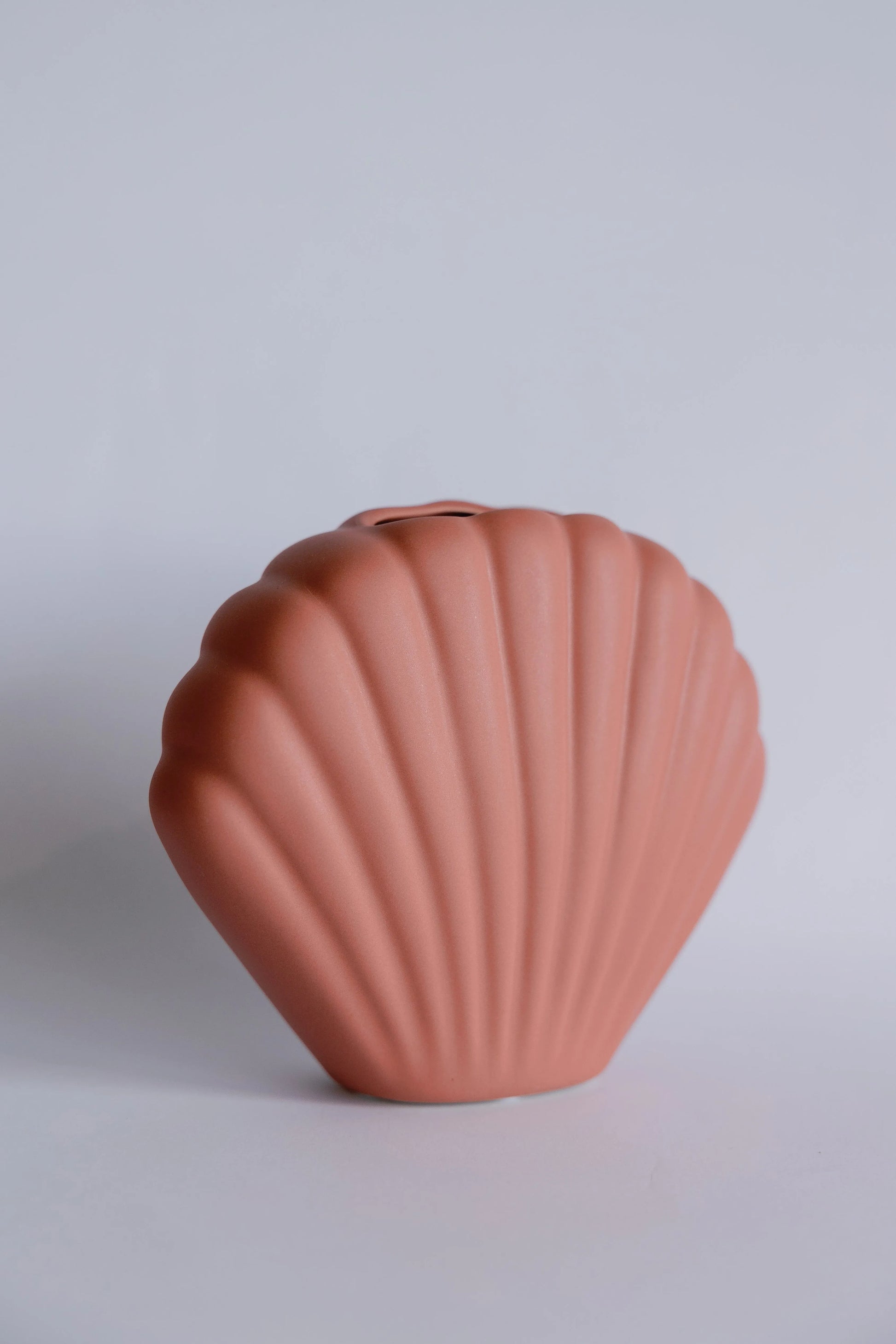 Coral Vase - Mellow