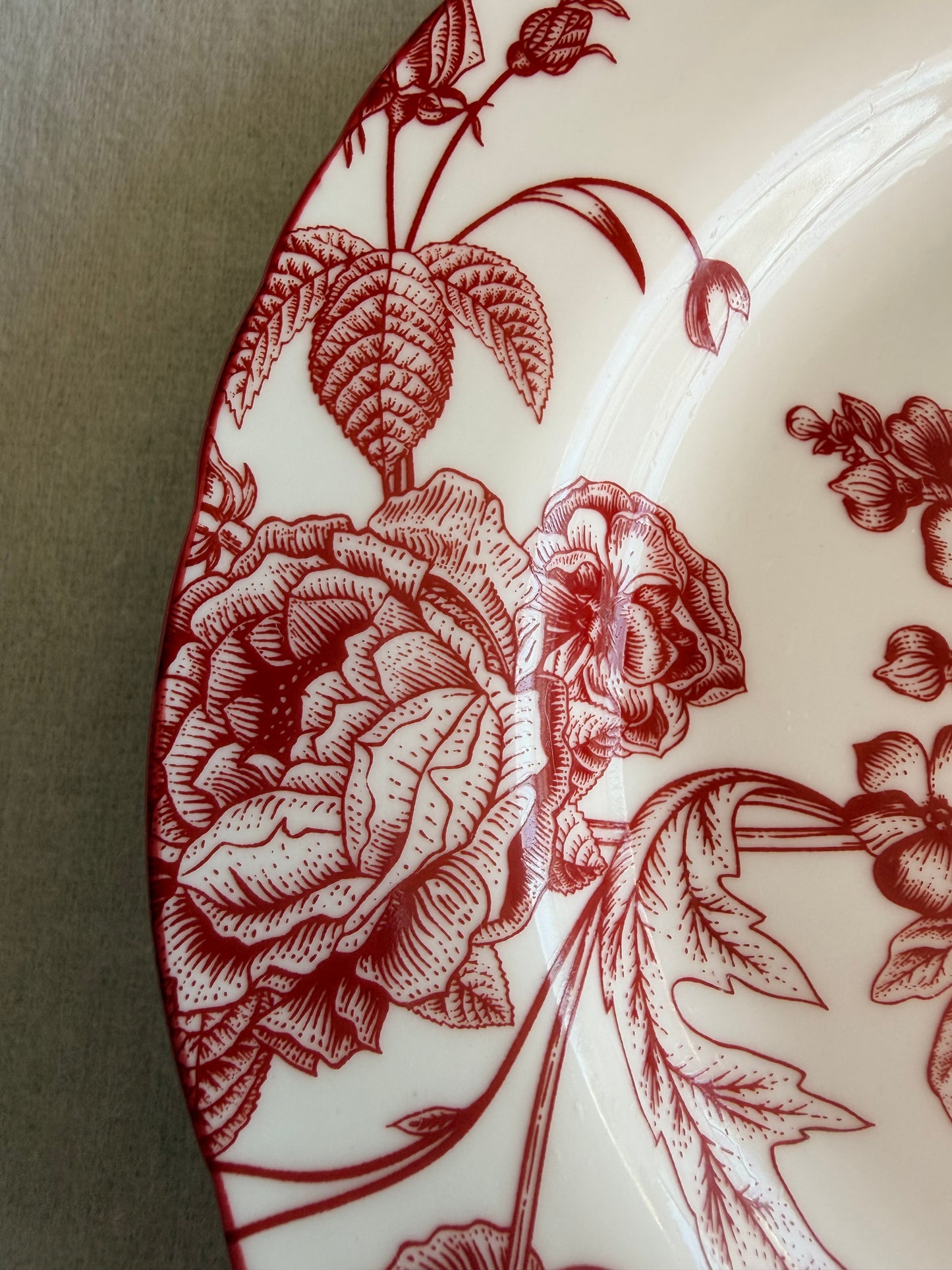 Scarlet Lace Porcelain Dinner Plates, Set of 4
