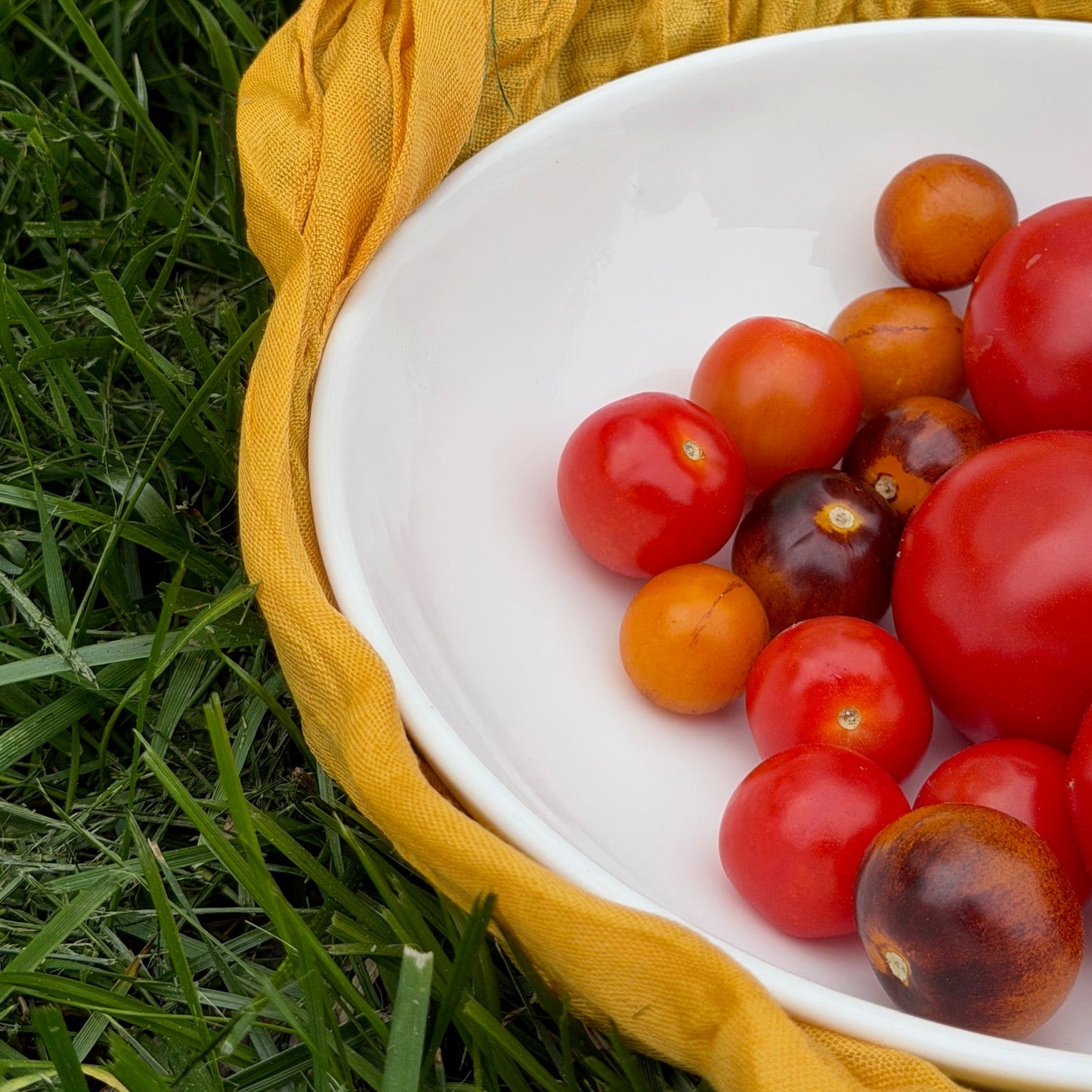 White plate with red and orange fruits on a yellow cloth against a grass background