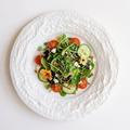 Alpine Snow Porcelain Dinner Plates, Set of 4