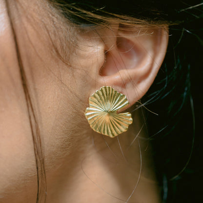 Shell Earrings