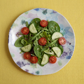 Watercolor Wisteria Floral Salad Plates, Set of 4